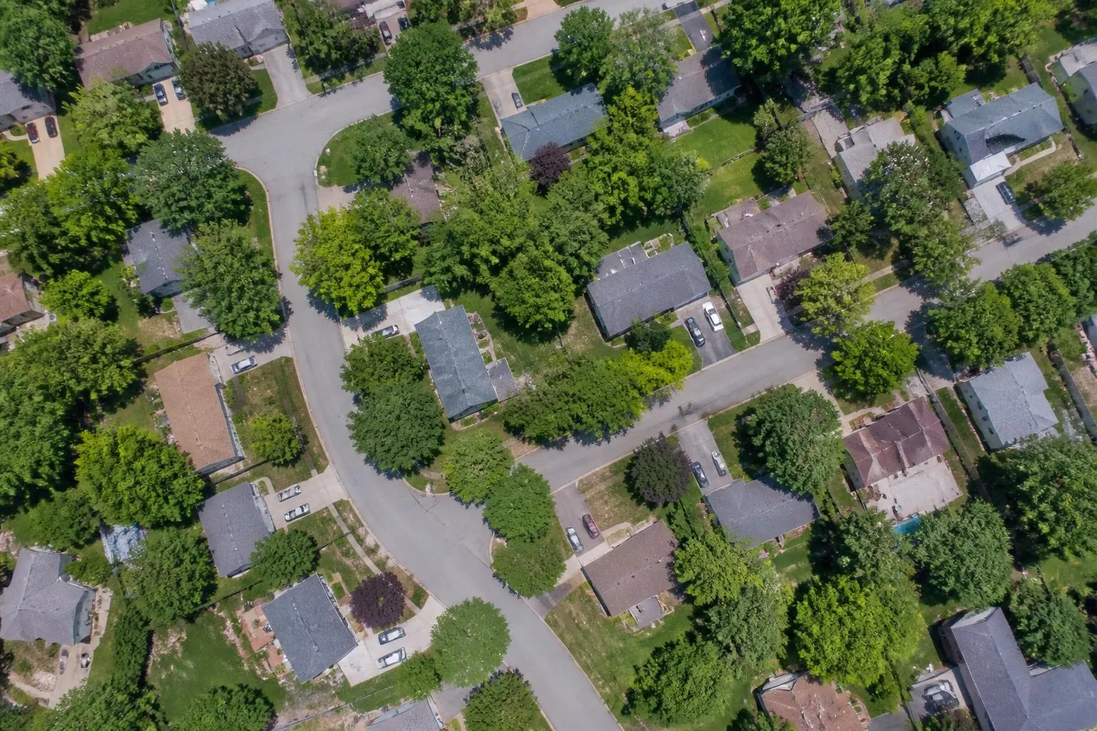 Overhead aerial of the Barclay Downs street grid showing dense tree canopy and rooftops